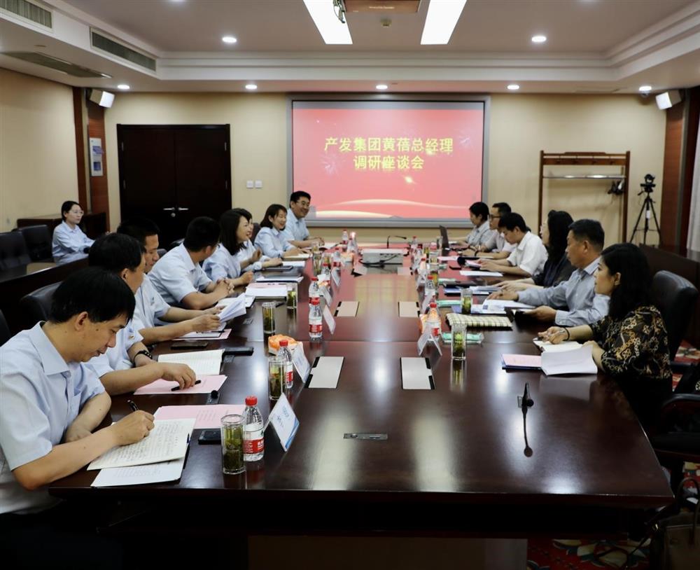 集團黨委副書記、總經(jīng)理黃蓓帶隊調(diào)研濟南市工程咨詢院